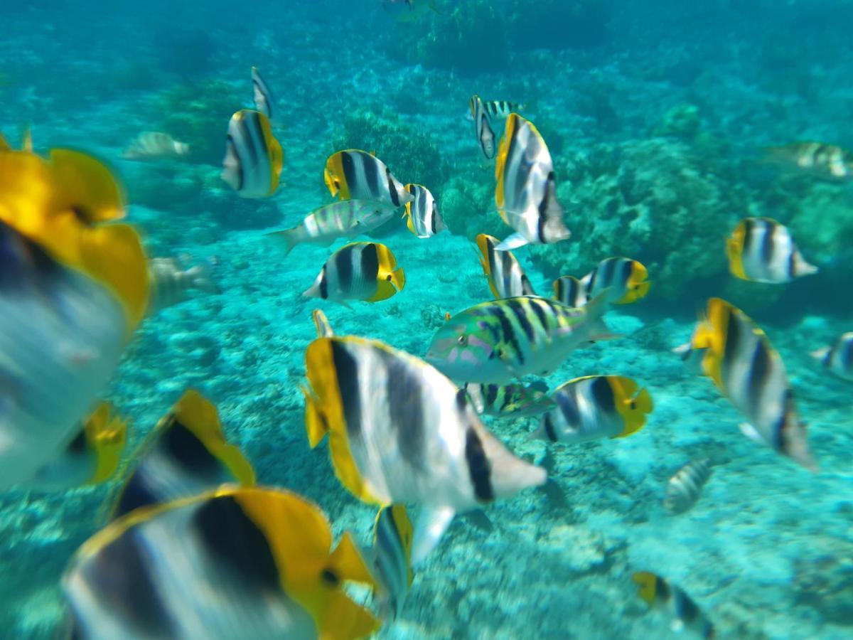 Willa Fare O'Eden Bora Bora Zewnętrze zdjęcie